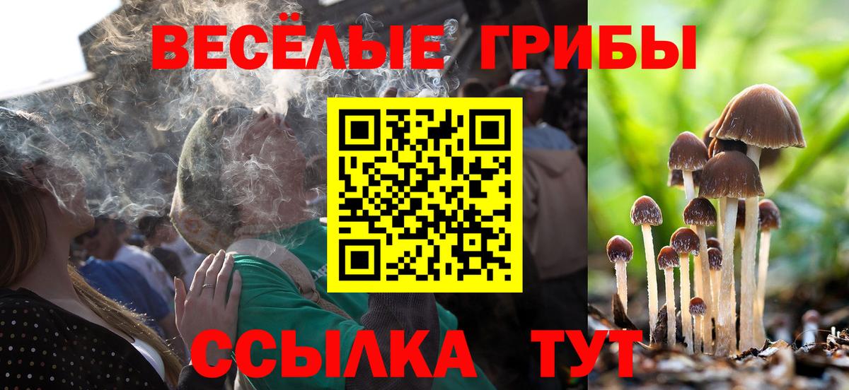 Галлюциногенные грибы прущие грибы  Вход с VPN  Сочи  Галлюциногенные грибы Psilocybe 
